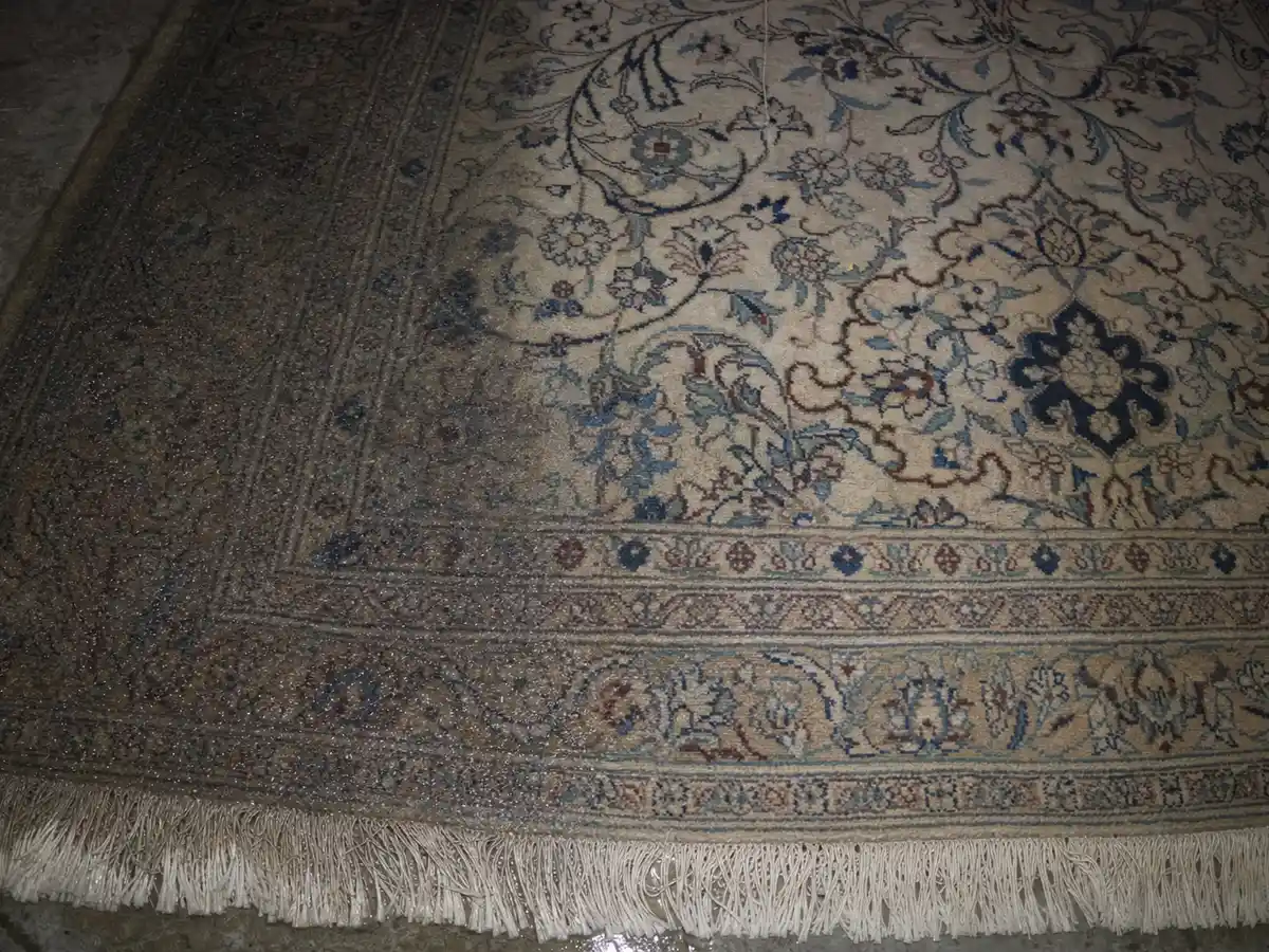 Rug Cleaning in Torrance, CA