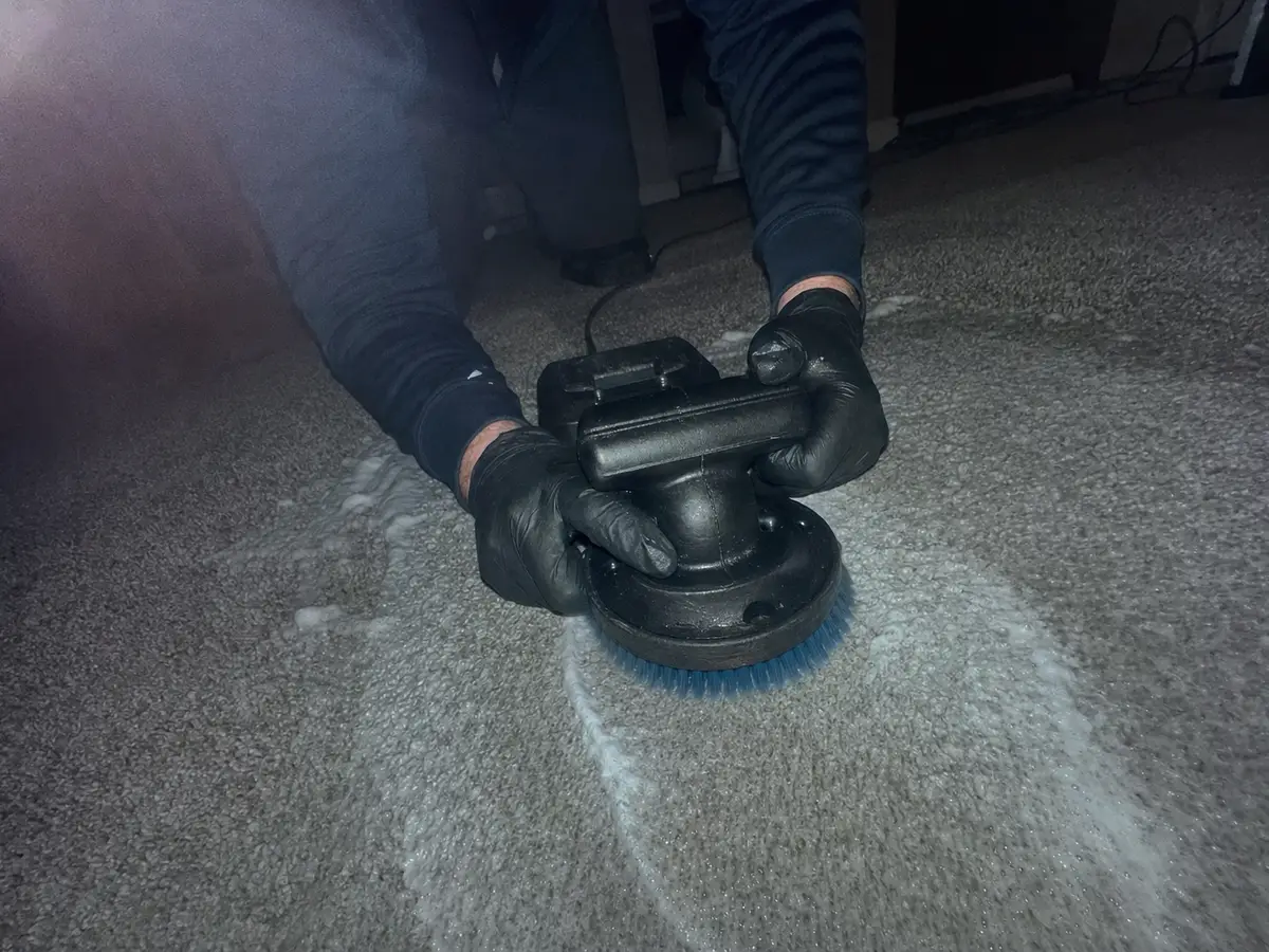 Carpet Shampooing in Torrance, CA