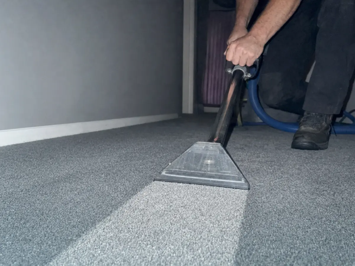 Steam Carpet Cleaning in Torrance, CA